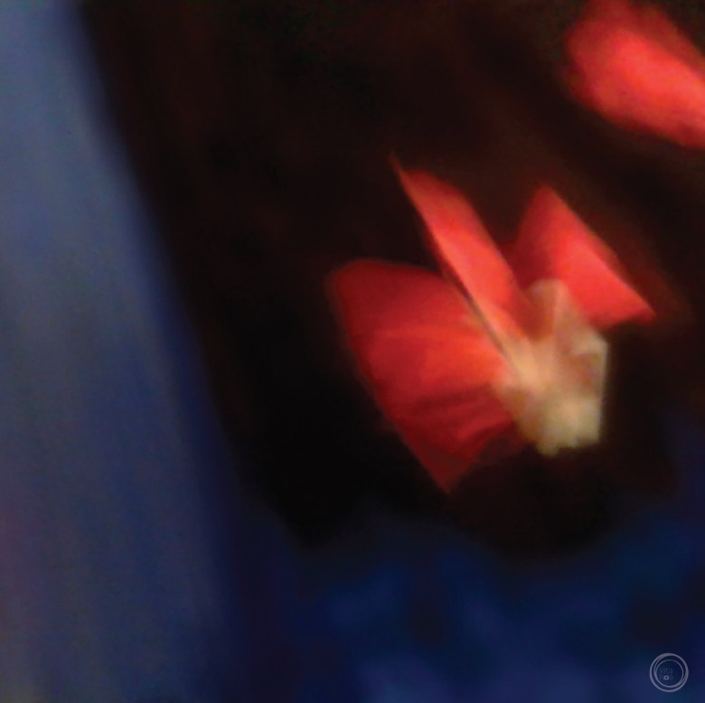 volume rosso II_ánemos